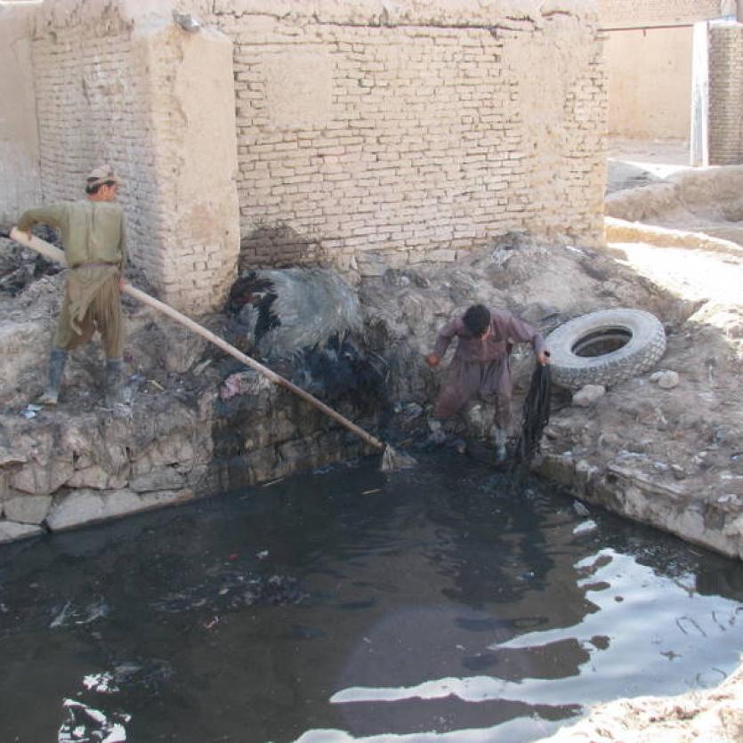 Les peaux sont plongées dans une solution à base d’eau, sel et de graisse animale provenant des peaux de chèvres Etape 1